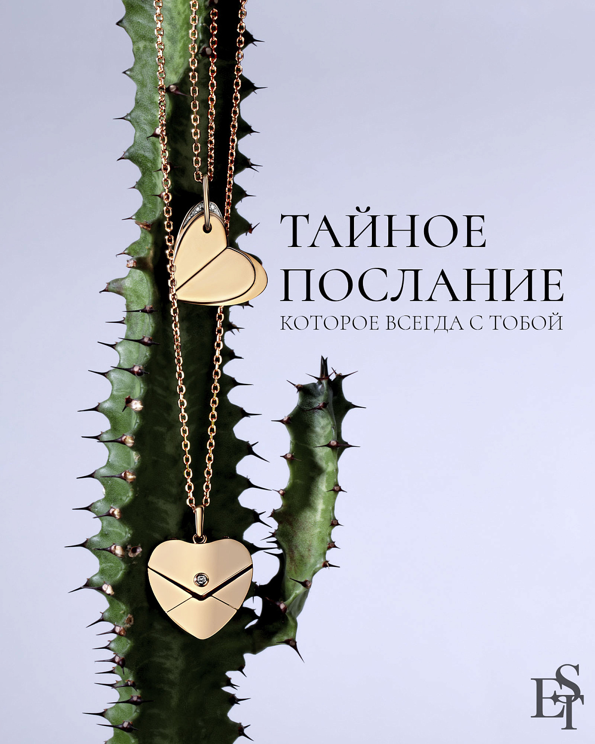 Тайное послание