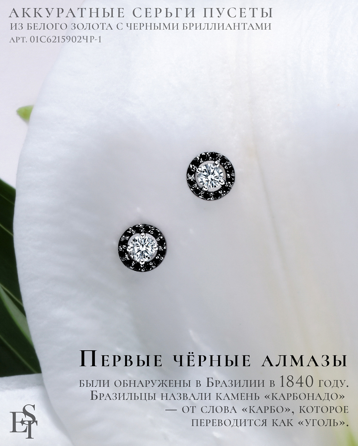 Black classic – черная классика – черные бриллианты