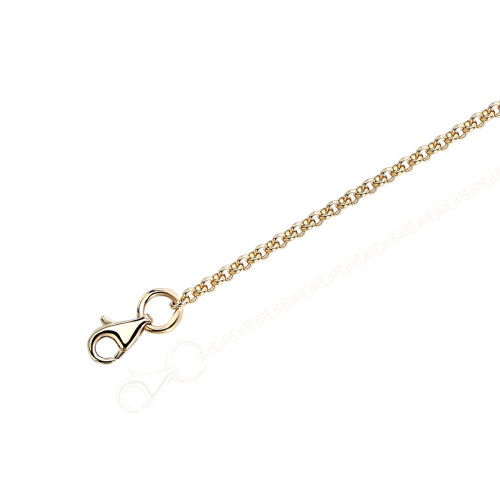 Цепь из желтого золота 585 пробы без вставок 01Ц0309360