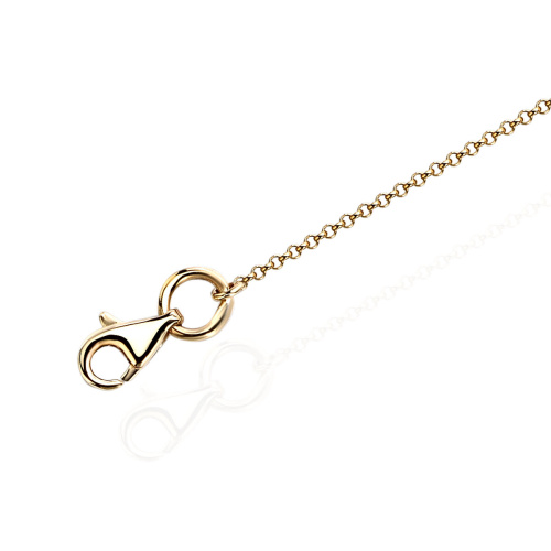 Цепь из желтого золота 585 пробы без вставок 01Ц0309335